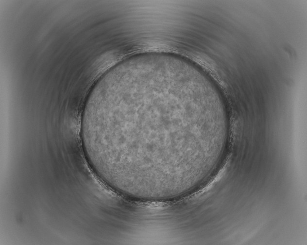 X0000111800841200908201151
