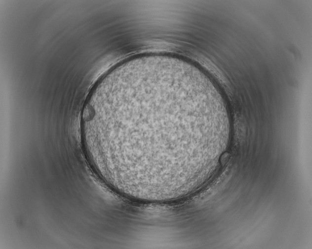 X0000111800842200908201151