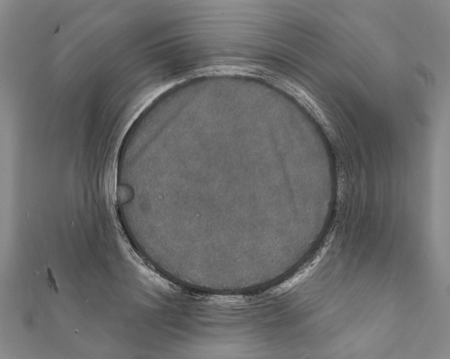 X0000111800844200908201151