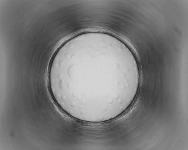 X0000111800845200908201151
