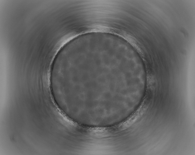 X0000111800846200908201151