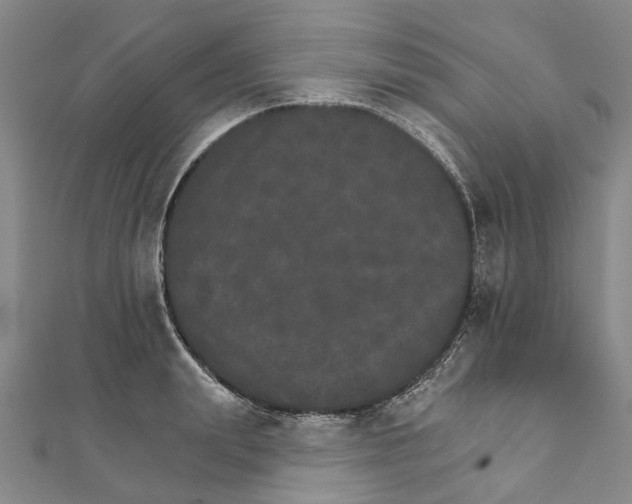 X0000111800847200908201151