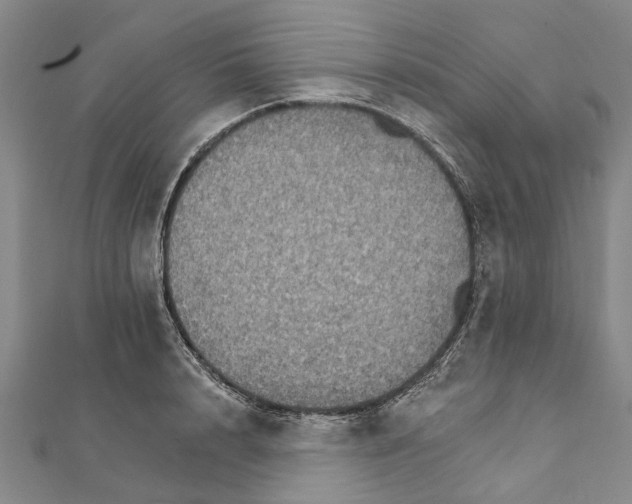 X0000111800848200908201151