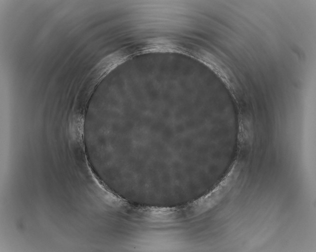 X0000111800849200908201151