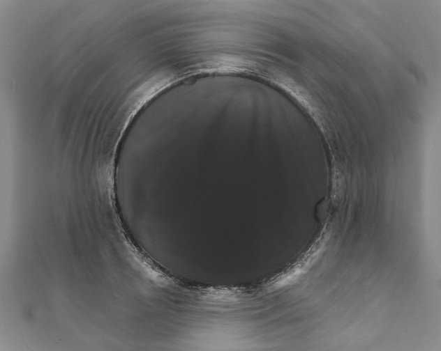 X0000111800850200908201151