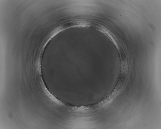 X0000111800851200908201151