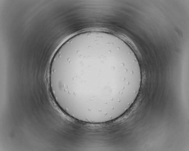 X0000111800852200908201151