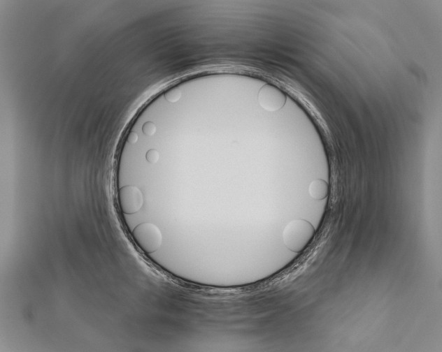 X0000111800853200908201151