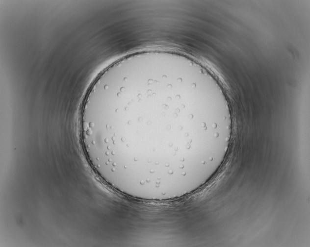 X0000111800854200908201151