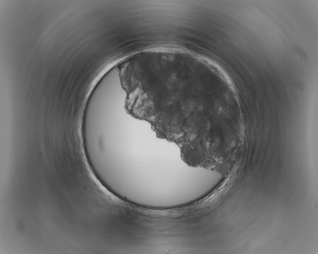 X0000111800855200908201151