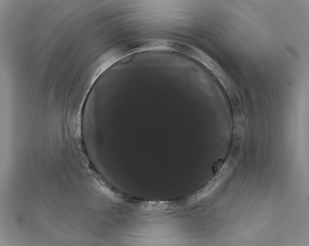 X0000111800858200908201152