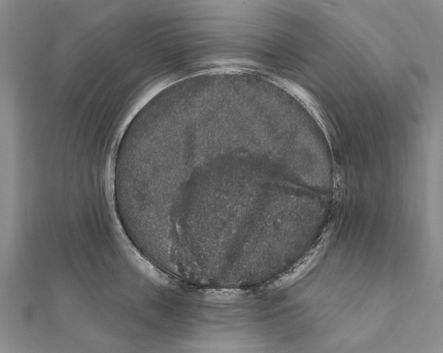 X0000111800859200908201152