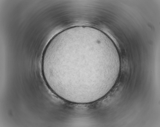 X0000111800861200908201152
