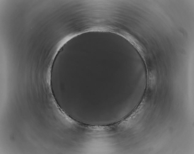 X0000111800862200908201152