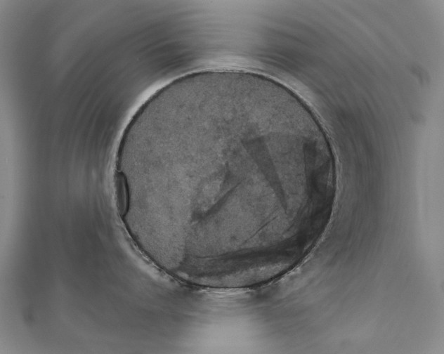 X0000111800864200908201152