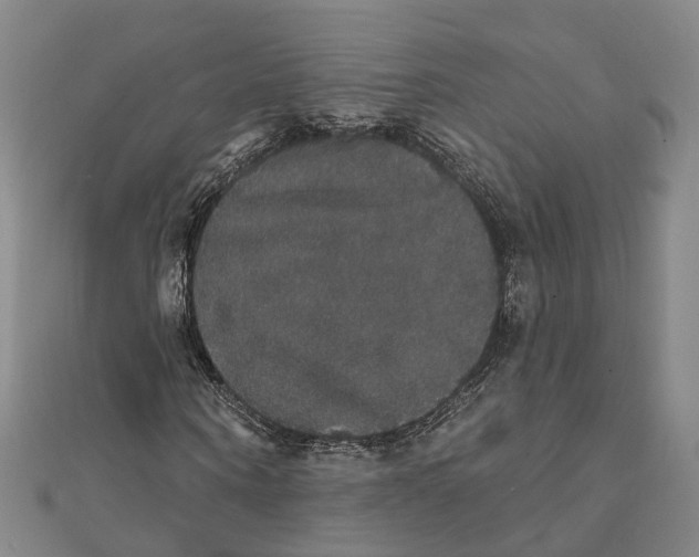 X0000111800866200908201151