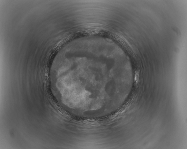 X0000111800867200908201151