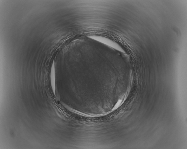 X0000111800868200908201151