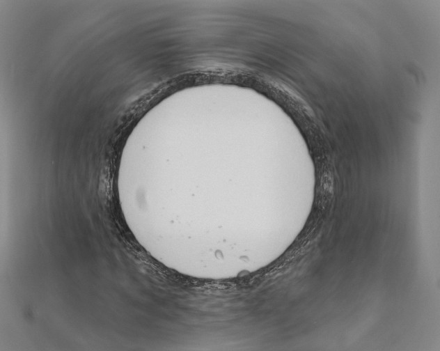 X0000111800869200908201151
