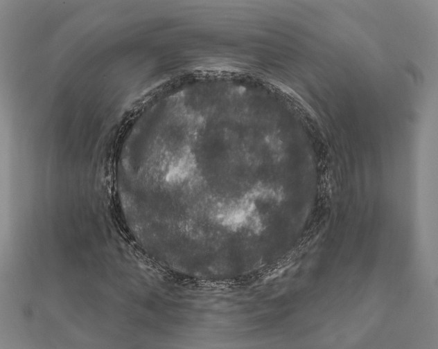 X0000111800870200908201151
