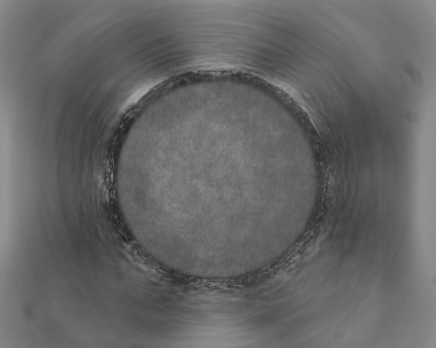 X0000111800871200908201151