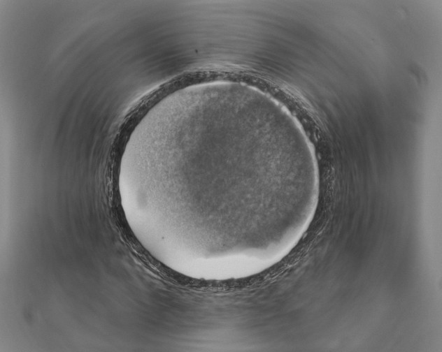X0000111800872200908201151