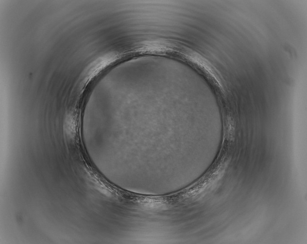 X0000111800874200908201151