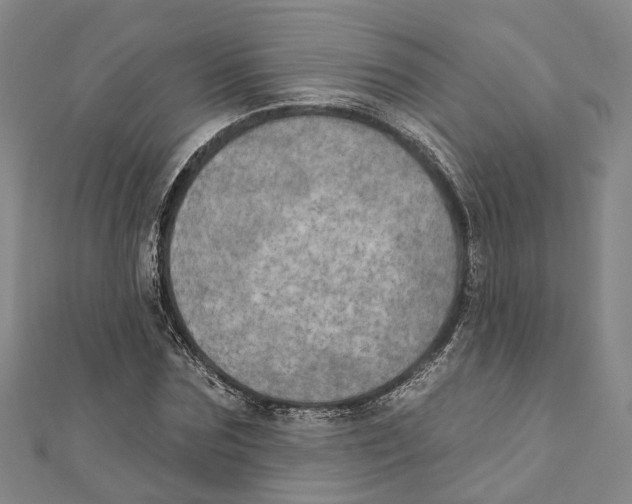 X0000111800875200908201151
