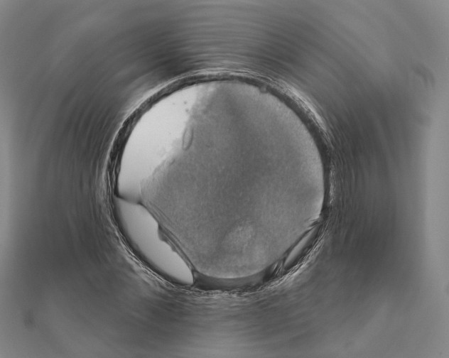 X0000111800876200908201151