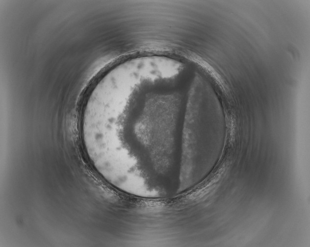 X0000111800878200908201151