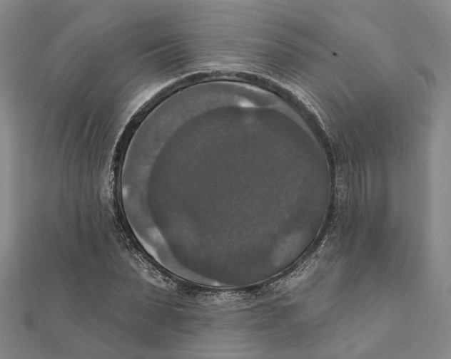 X0000111800879200908201151