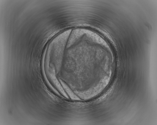 X0000111800881200908201151