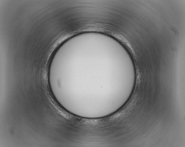 X0000111800882200908201151