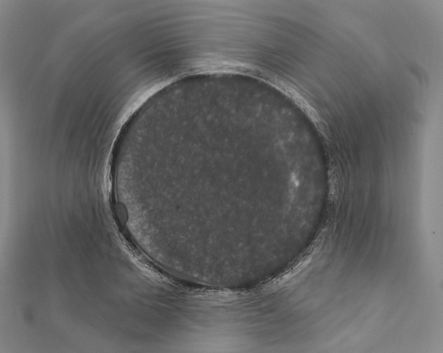 X0000111800885200908201151