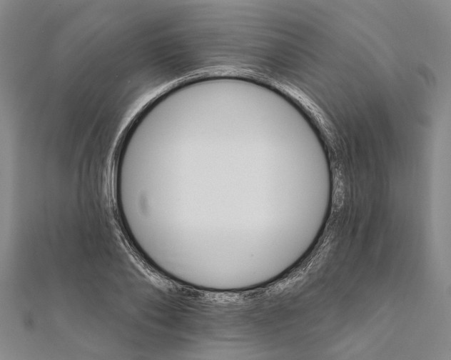 X0000111800886200908201151