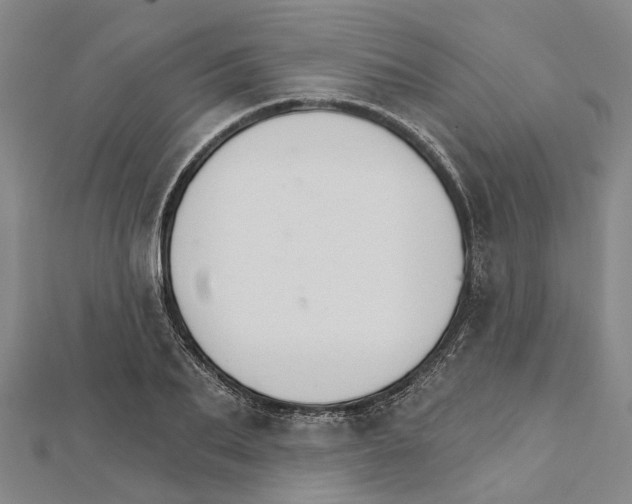 X0000111800887200908201151
