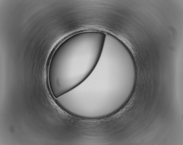X0000111800888200908201151