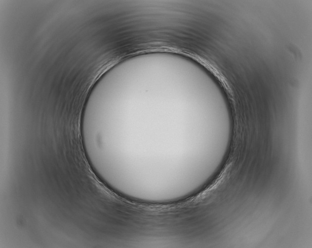 X0000111800889200908201151