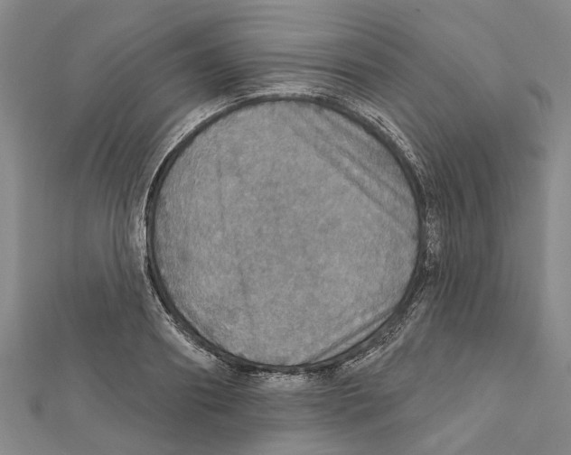 X0000111800890200908201151