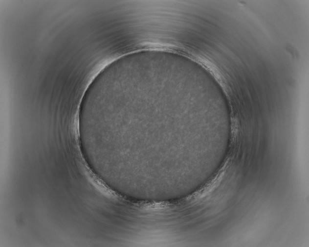 X0000111800891200908201151