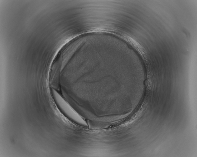 X0000111800892200908201151