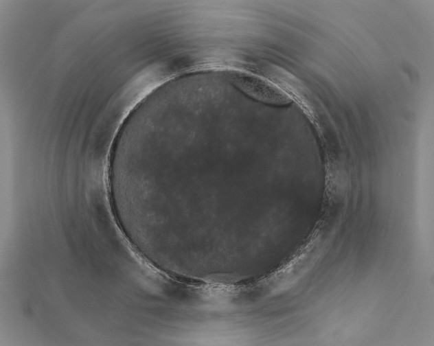 X0000111800893200908201151