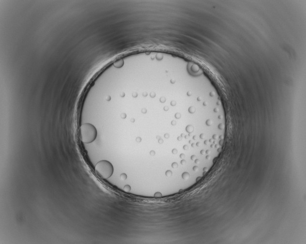 X0000111800894200908201151