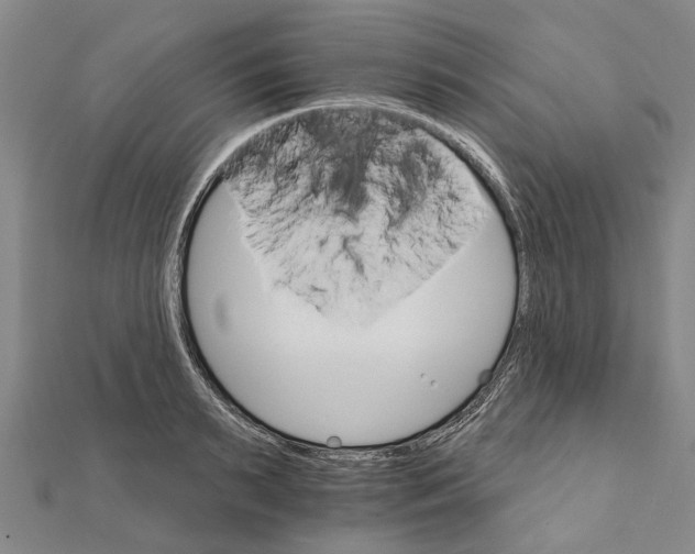 X0000111800895200908201151
