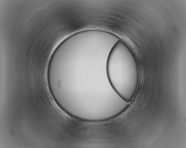 X0000111800896200908201151