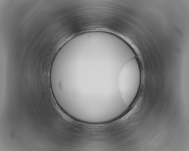 X0000111800897200908201151