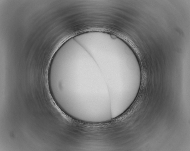 X0000111800898200908201151