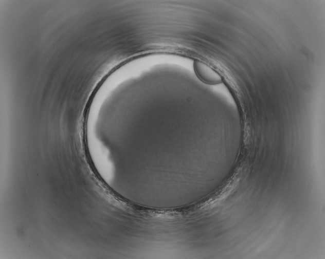X0000111800899200908201151