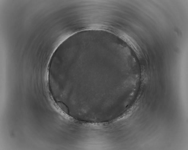 X0000111800900200908201151