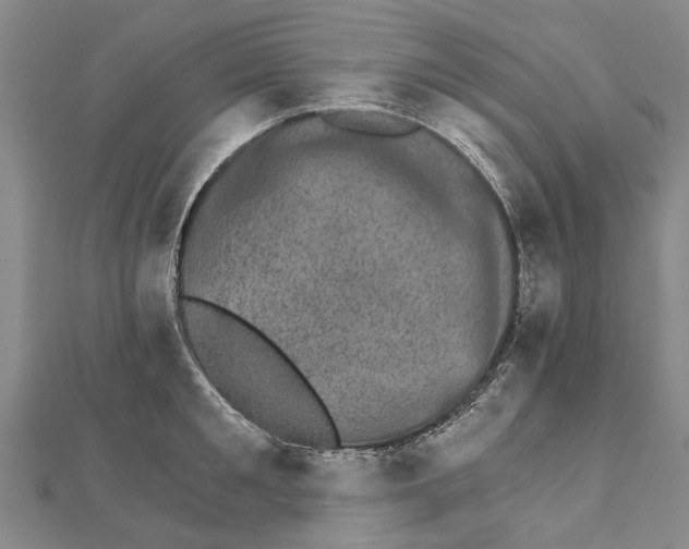 X0000111800901200908201151